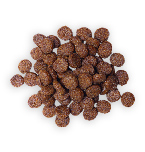 Dog Food 5