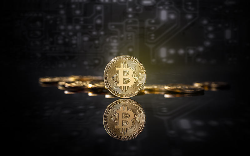 قالب ووردبريس عملة مشفرة 81 قالب ووردبريس عملة مشفرة 81