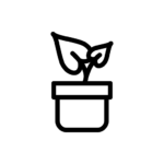 محل زهور ووردبريس التجريبي 78