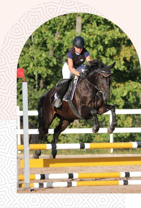 قالب ووردبريس لنادي الخيل 34 قالب ووردبريس لنادي الخيل 34