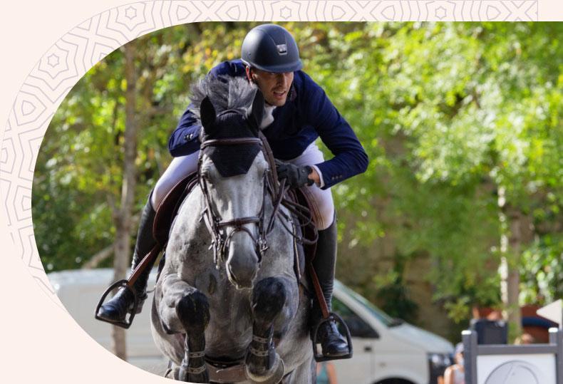 قالب ووردبريس لنادي الخيل 42 قالب ووردبريس لنادي الخيل 42