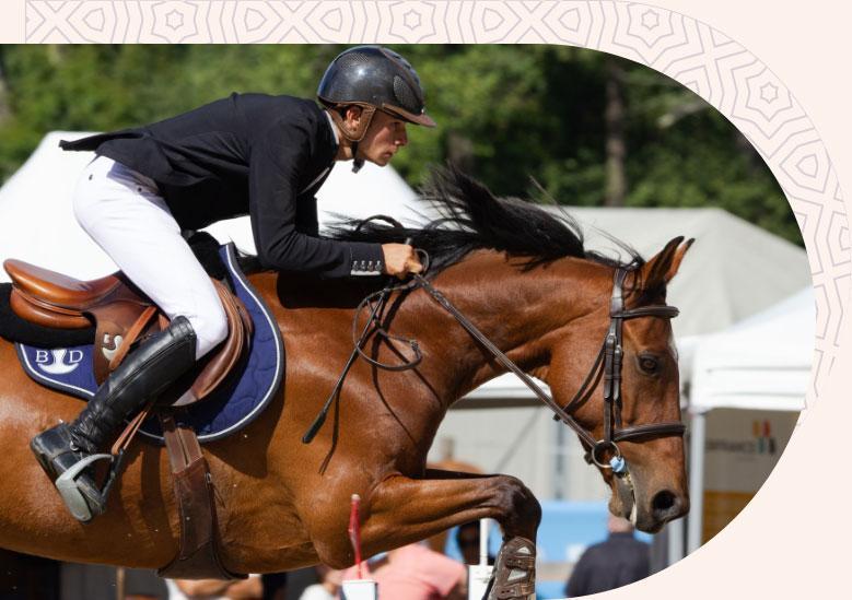 قالب ووردبريس لنادي الخيل 70 قالب ووردبريس لنادي الخيل 70