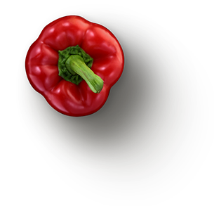 مطعم ۲ 4 مطعم ۲ 4