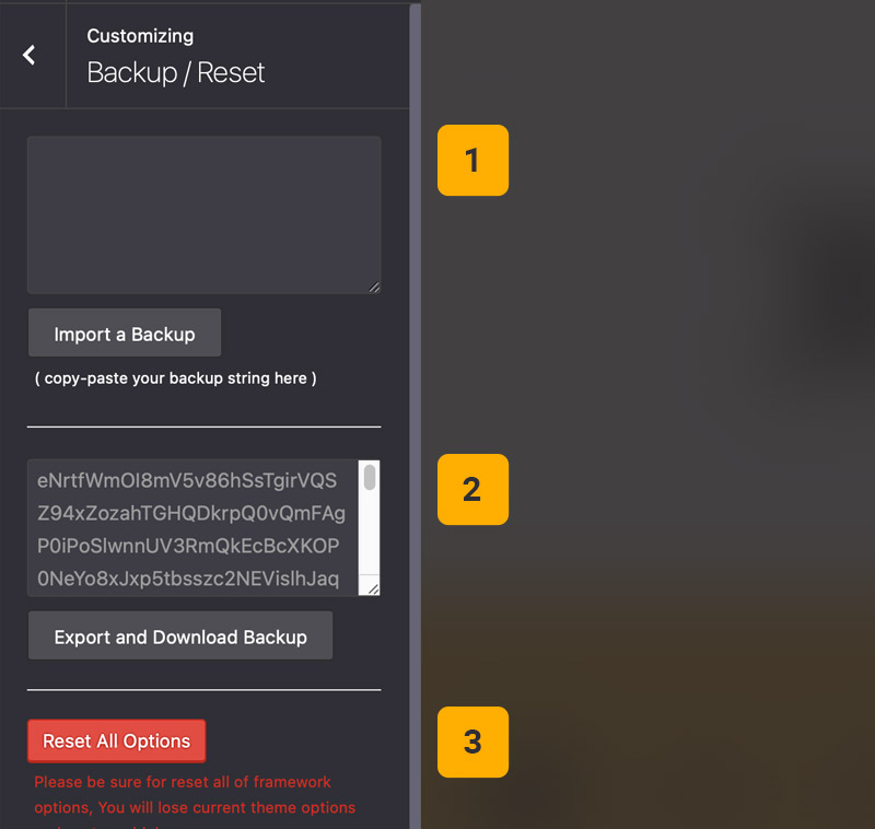 Theme options backup restore Theme options backup restore