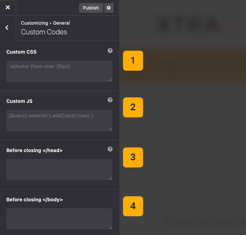 Theme options custom codes Theme options custom codes