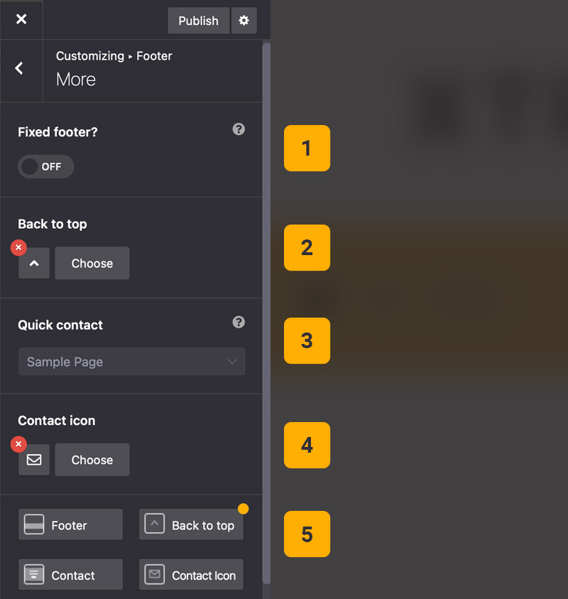 Theme options footer more Theme options footer more