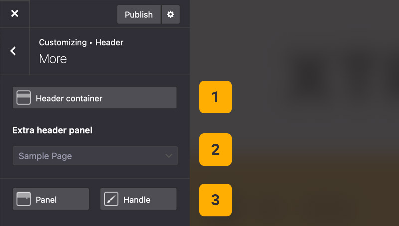 Theme options header more settings Theme options header more settings