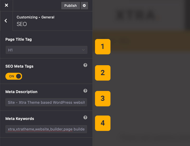 Theme options seo Theme options seo