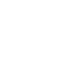 Shape 1w